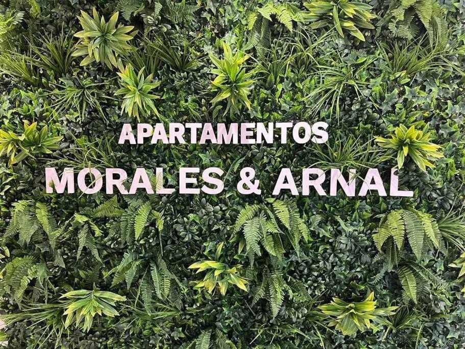 XX D Apartamentos Morales & Arnal 론다 외부 사진